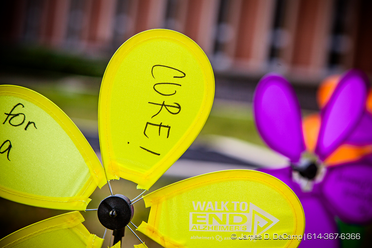 The 2016 Walk To End Alzheimer's photographed Saturday August 13, 2016 in Delaware, Ohio on the Ohio Wesleyan University Campus. (© James D. DeCamp | http://www.JamesDeCamp.com | 614-367-6366)