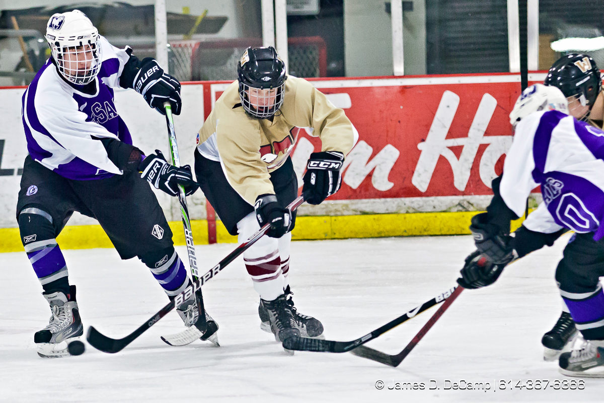 Bishop Waterson's Grant Stover (83) and DeSales' Josh VanCuyk (12) vie for the puck in the first period of play at the Easton Chiller Jan. 28, 2012. (© James D. DeCamp | http://JamesDeCamp.com | 614-367-6366)