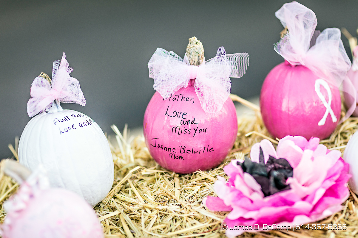 The 2nd Annual Komen Athens Race for the Cure® photographed Sunday, October 23, 2016 on the Ohio University Campus. (© James D. DeCamp | http://JamesDeCamp.com | 614-367-6366)